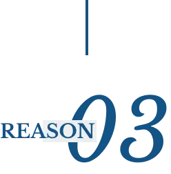 REASON03